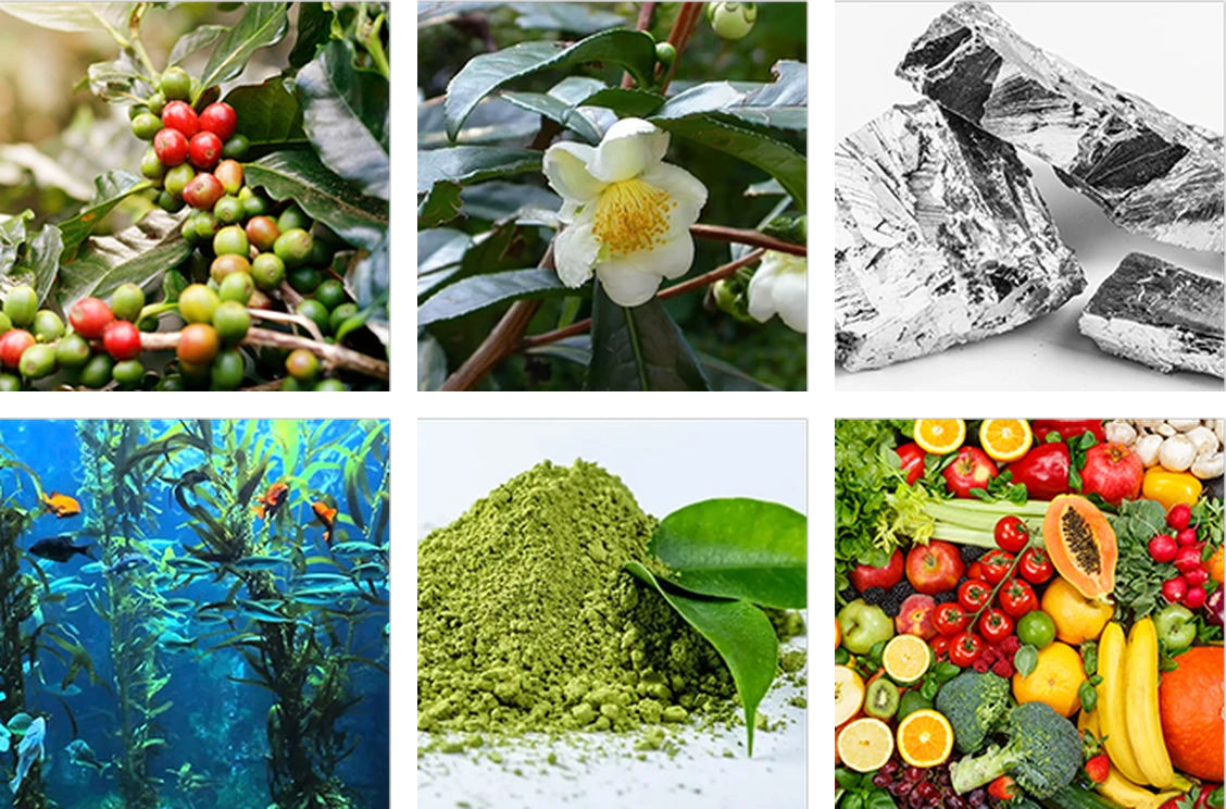 Metabo Drops ingredients
